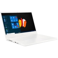 Ноутбук Acer ConceptD 3 Ezel Pro CC315-72P-7642 (NX.C5QER.002) 32 Гб