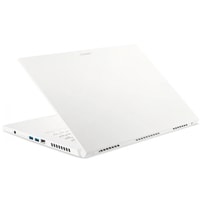 Ноутбук Acer ConceptD 3 Ezel Pro CC315-72P-7642 (NX.C5QER.002) 32 Гб