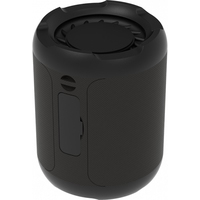 Беспроводная колонка Ritmix SP-290B