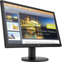 Монитор HP P21b G4