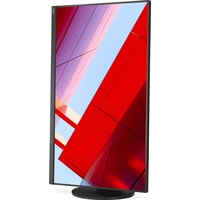 Монитор NEC MultiSync E243F (черный)