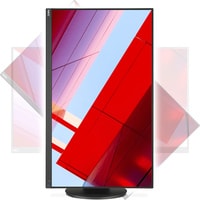 Монитор NEC MultiSync E243F (черный)