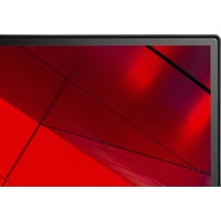 Монитор NEC MultiSync E243F (черный)
