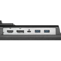 Монитор NEC MultiSync E243F (черный)