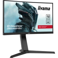 Монитор Iiyama G-Master GB2466HSU-B1