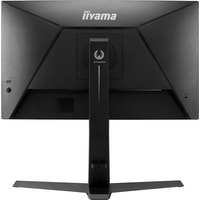 Монитор Iiyama G-Master GB2466HSU-B1