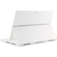 Ноутбук 2-в-1 Acer ConceptD 3 Ezel CC315-72G-70U9 NX.C5NER.002