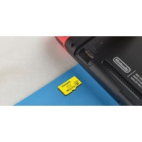 Карта памяти SanDisk For Nintendo Switch microSDXC SDSQXAO-256G-GNCZN 256GB