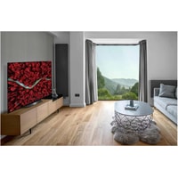 OLED телевизор LG OLED65BXRLB