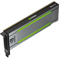 Видеокарта PNY NVIDIA Tesla T4 16GB GDDR6 TCST4MATX-PB