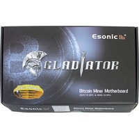 Материнская плата Esonic B250-BTC-Gladiator