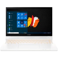 Ноутбук Acer ConceptD 3 Ezel CC314-72G-530R (NX.C5HER.003)