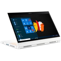 Ноутбук Acer ConceptD 3 Ezel CC314-72G-530R (NX.C5HER.003)