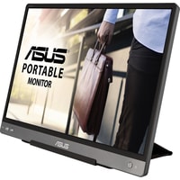 Монитор ASUS ZenScreen MB14AC