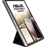 Монитор ASUS ZenScreen MB14AC