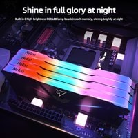Оперативная память Netac Shadow RGB 2x8GB DDR4 PC4-25600 NTSRD4P32DP-16E