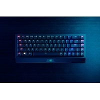 Клавиатура Razer Blackwidow V3 Mini HyperSpeed Yellow Switch