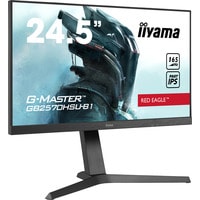 Монитор Iiyama G-Master GB2570HSU-B1
