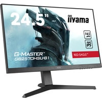Монитор Iiyama G-Master GB2570HSU-B1