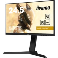 Монитор Iiyama G-Master GB2590HSU-B1