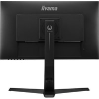 Монитор Iiyama G-Master GB2590HSU-B1