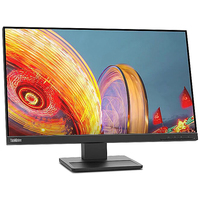 Монитор Lenovo ThinkVision E24q-20