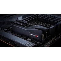 Оперативная память G.Skill Trident Z5 2x16GB DDR5 PC5-48000 F5-6000J3636F16GX2-TZ5K