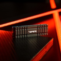 SSD Patriot Viper VPN110 1TB VPN110-1TBM28H