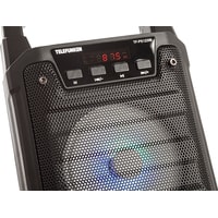 Беспроводная колонка TELEFUNKEN TF-PS1229B