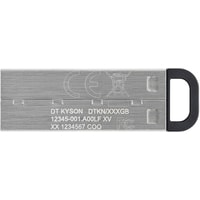 USB Flash Kingston Kyson 128GB