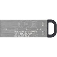 USB Flash Kingston Kyson 64GB