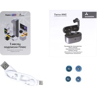 Наушники AccesStyle Terra ANC (синий)