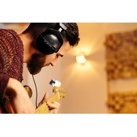 Наушники Beyerdynamic DT 770 PRO 80 Ohm
