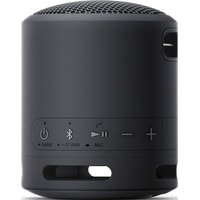 Беспроводная колонка Sony SRS-XB13 (черный)