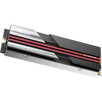 SSD Netac NV7000 1TB NT01NV7000-1T0-E4X
