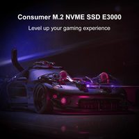 SSD Hikvision E3000 1TB HS-SSD-E3000/1024G
