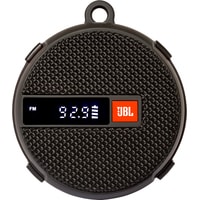 Беспроводная колонка JBL Wind 2