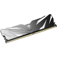 Оперативная память Netac Shadow II Black 16ГБ DDR4 2666МГц NTSWD4P26SP-16K