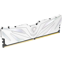 Оперативная память Netac Shadow II White 16ГБ DDR5 4800 МГц NTSWD5P48SP-16W