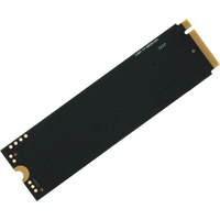 SSD Digma Meta G2 1TB DGSM4001TG23T