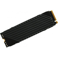 SSD Digma Top G3 512GB DGST4512GG33T