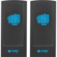 Акустика Fury Skyray