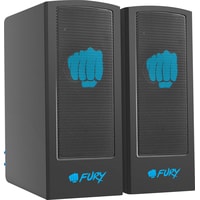 Акустика Fury Skyray