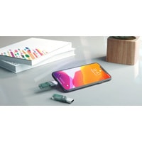 USB Flash SanDisk iXpand Flip 128GB