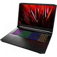Игровой ноутбук Acer Nitro 5 AN517-41-R10V NH.QAREX.00B 32 Гб