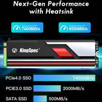 SSD KingSpec XG7000 Pro 2TB