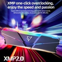 Оперативная память Netac Shadow RGB 2x8ГБ DDR4 2666МГц NTSRD4P26DP-16E