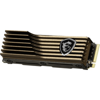 SSD MSI Spatium M570 HS 2TB S78-440Q560-P83
