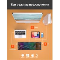 Клавиатура Royal Kludge RK100 RGB (черный, RK Brown)