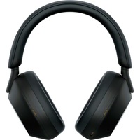 Наушники Sony WH-1000XM5 (черный)